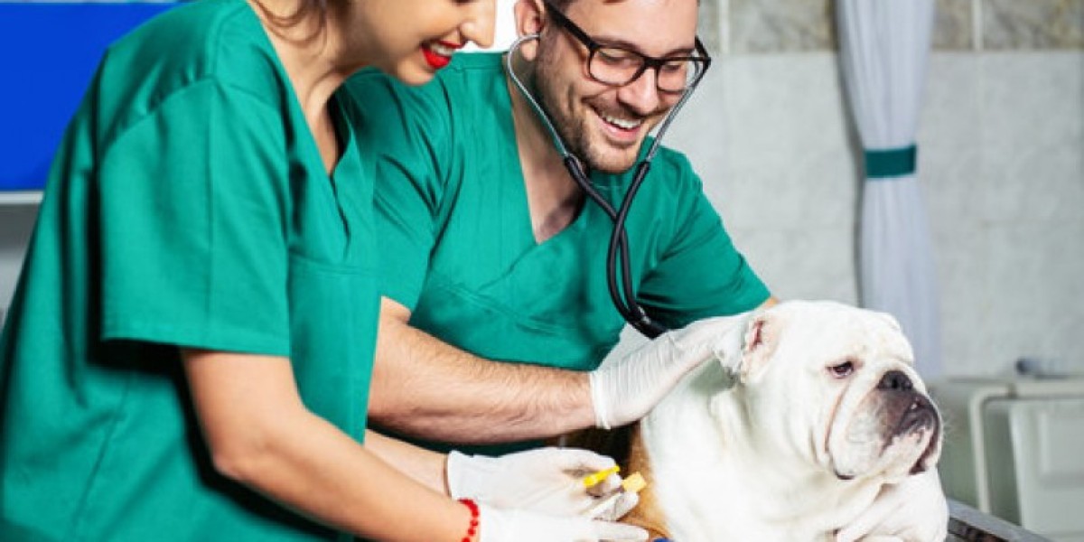 Desvendando os Segredos dos Exames Clínicos Veterinários: Saiba tudo sobre a saúde do seu pet!
