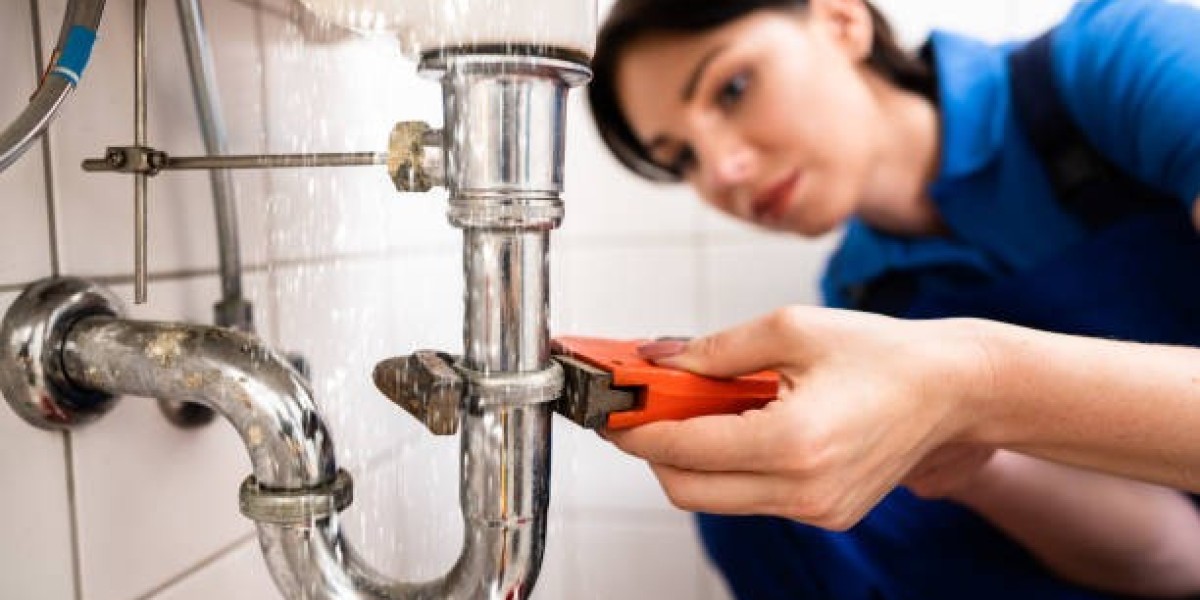 The Benefits of Hiring a Plumber in Langwarrin and Why SE Plumbing is the Best Choice