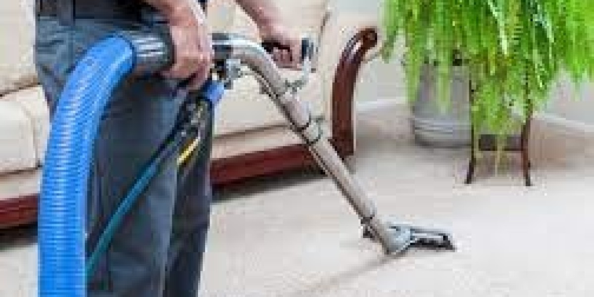 Revitalize Your Home with Top-Notch Carpet Cleaning Services