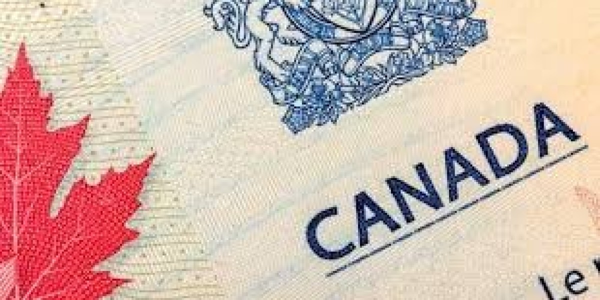 Expert Advice on Securing a Spouse Visa for Canada